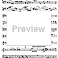 Battaglia di Maringo - Flute