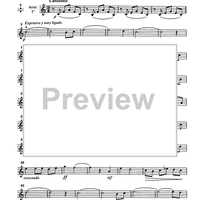 Ave Maria - Accordion 1