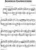 Scherzo Capriccioso