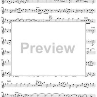 Concerto Grosso No. 8 in G Minor, Op. 6, "Christmas Concerto" - Solo Violin 1