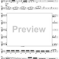 The Four Seasons, No. 4: Winter - Violin 1