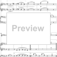 17. Nicht Wandle, Mein Licht