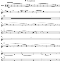 Le carnaval des animaux - Flute/Piccolo