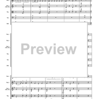 Allegretto from Symphony No. 3 - Score