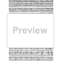 Birds In Light - Full Score