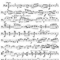 Quartet in D minor - Cello