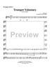 Trumpet Voluntary - Trumpet 2