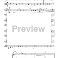 Roses from the South -  from Op. 388