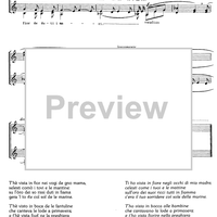 Sancta Maria graesana