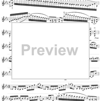 Twenty-Four Caprices: Nos. 13 - 24