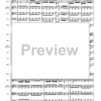 Allegro from Concerto in D Major - Score