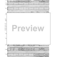 Birds In Light - Full Score