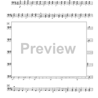 A Celtic Christmas Fantasy - Violoncello