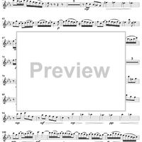 Suite in C Minor, BWV997 - Flute