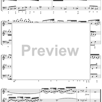 Trio Sonata in G major for Two Flutes and Continuo, Mvmt. 1, BWV1039