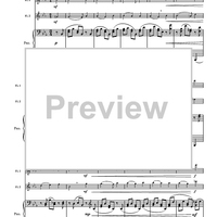 Nine Waltzes from Op. 39 - Piano Score