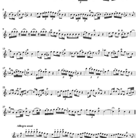 Sonata No. 12 in C Major - Flute