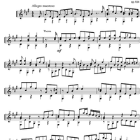 Grandes Variations Op.104