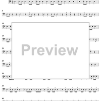 Track South (Based on a Mexican Folk Song)