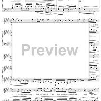 Wenn du zu den Blumen gehst, No. 6 from "Spanisches Liederbuch" II