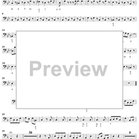 Flute Concerto in F Major, Op. 10, No. 5 - Cello