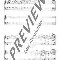 Concerto d minor - Organ Score
