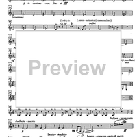 Immagini da Auschwitz - Basset Horn