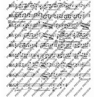 2. Concerto in C - Viola