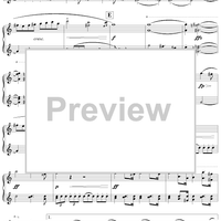 Grand Duo (Sonata) in C Major, Op.posth 140