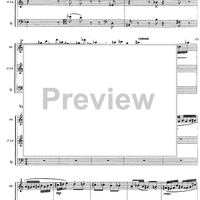 Là, ricordando Beethoven, ci darem la mano - Score