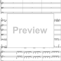 Violin Concerto in D Major, Movt. 1  Op. 7 No. 12   RV214 - Score