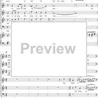 A Sparrow Hawk Proud