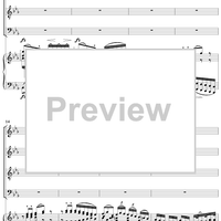 Mass No. 13 in B-flat Major: No. 5, Benedictus