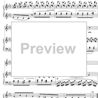 Die Krähe Op.89 No.15 D911