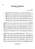 Trumpet Voluntary - Score