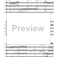 Concerto in Sol - Score