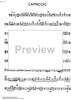 Capriccio - Double Bass