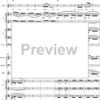 "Ruhe sanft, mein holdes Leben", No. 3 from "Zaide", Act 1, K336b (K344) - Full Score