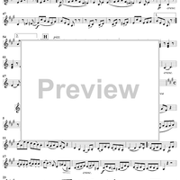 Serenata No. 2 in D Major - Violin 2