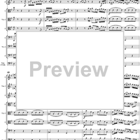 Brandenburg Concerto No. 3: Movement 1 - Score
