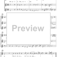 Margarite, fleur de valeur