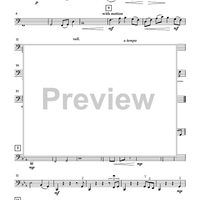 DMO: A Jazz Cello Quartet - Cello 4