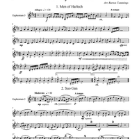 From Dylan's Land - Euphonium 3 TC