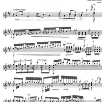 Andante et Polonaise Op.44