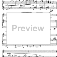 Ich hab' ein Glühend' Messer No. 3