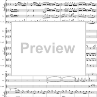 Horn Concerto No. 1 in D Major, K386b (K412 & K514)