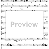 String Quartet No. 12 in F Major, Op. 96 - Violin 2