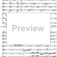 Brandenburg Concerto No. 3: Movement 1 - Score