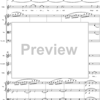 "Rase, Schicksal, wüte immer", No. 4 from "Zaide", Act 1, K336b (K344) - Full Score