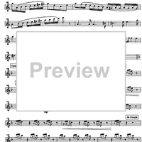 Battaglia di Maringo - Flute